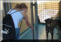 BCSPCA OCT 2006 006.jpg